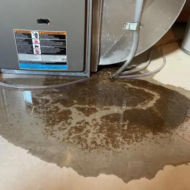 Appliance Leak Cleanup in Marlow, OK